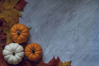 High angle view of orange leaves on table against wall