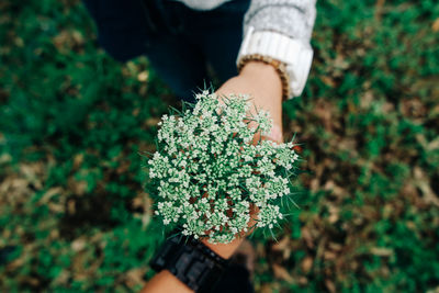 High angle view of woman holding plant