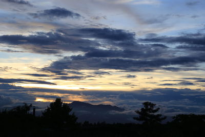 Low angle view of silhouette trees against dramatic sky