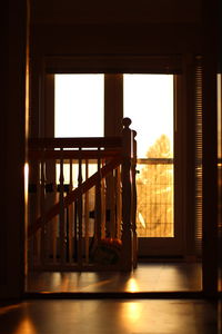 Rear view of man standing by window at home