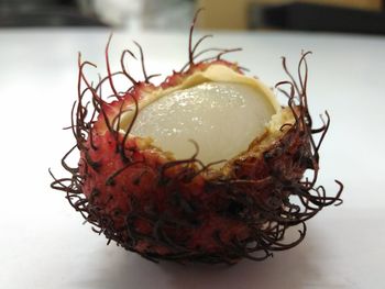 Close-up of food