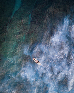 View of birds swimming in sea