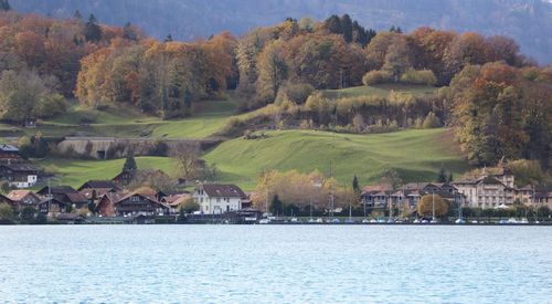 Scenic view of lake by trees and buildings