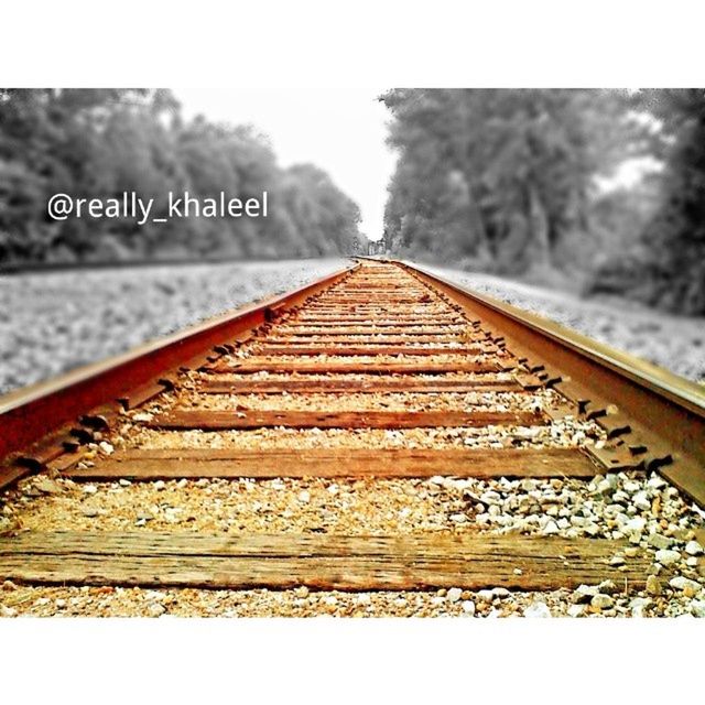 transfer print, diminishing perspective, the way forward, auto post production filter, railroad track, vanishing point, wood - material, clear sky, transportation, day, sky, low angle view, outdoors, no people, close-up, wood, long, part of, railing, tree