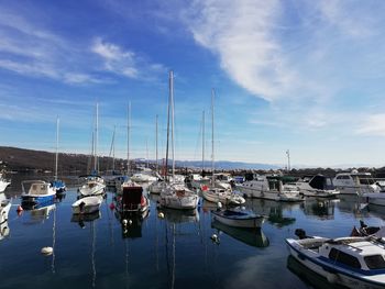 Sailboats moored in harbor