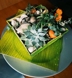 High angle view of vegetables on table