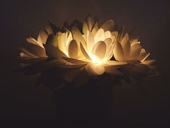 Close-up of illuminated light bulb over black background