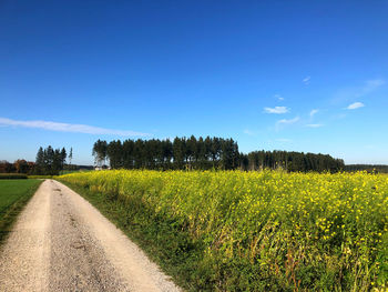 Road amidst field against sky