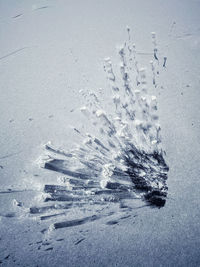 High angle view of footprints on snow covered land