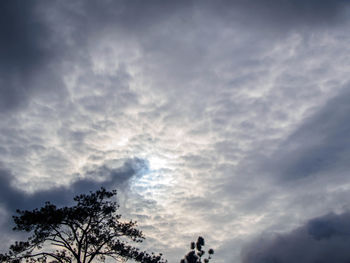 Low angle view of tree against cloudy sky