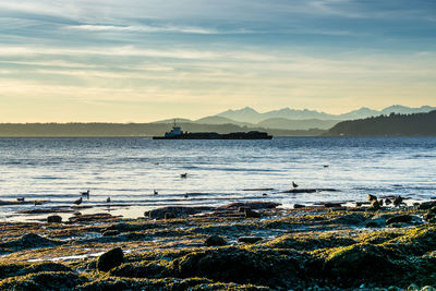 A barge moves across the puget sound with the olympic mountains in the distance.