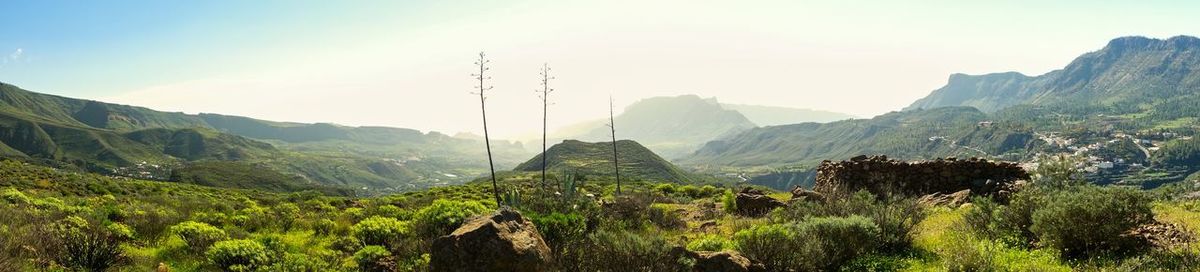 Panoramic view of trees and mountains against sky