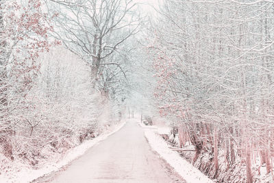 The winter road in suburb. blurred background. infrared toning