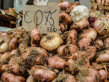 Close-up of pumpkins in market