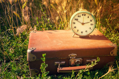 Vintage alarm clock on an old classic brown leather suitcase on a background of green grass.