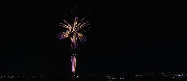 Firework display in sky at night