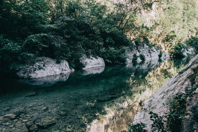 Scenic view of waterfall in forest