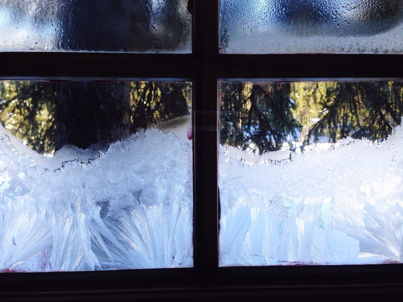 window, tree, reflection, cold temperature, no people, nature, looking through window, day, snow, indoors, winter, sky, water, frosted glass, beauty in nature, close-up