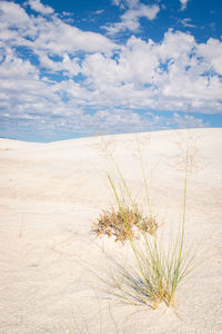 Scenic view of desert against sky