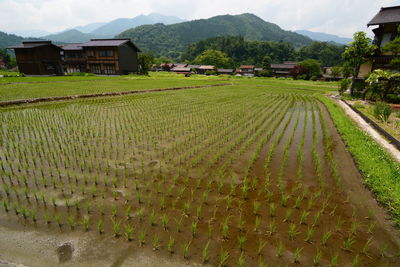Scenic view of agricultural field by houses against mountains
