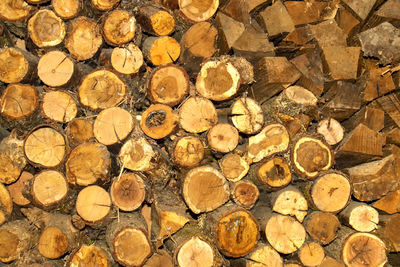 Full frame shot of logs in forest