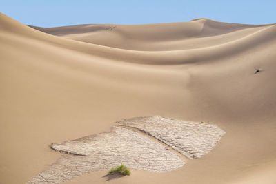 Sand dunes in a desert