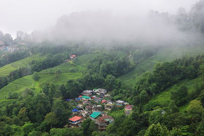 Lush green himalayan mountain foothills-valley covered with clouds, darjeeling hill station, india 