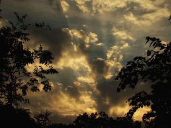 Low angle view of silhouette trees against sky