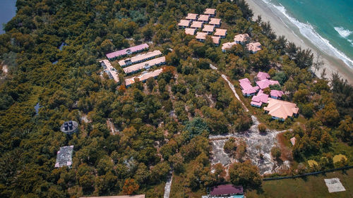 High angle view of trees and buildings