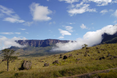 Scenic view of landscape against sky