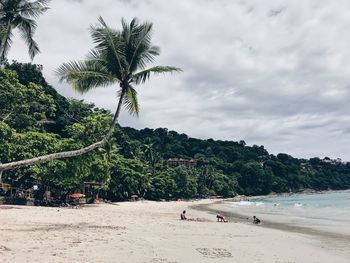 People on beach against sky