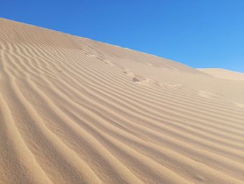 Waves of sand dune on desert