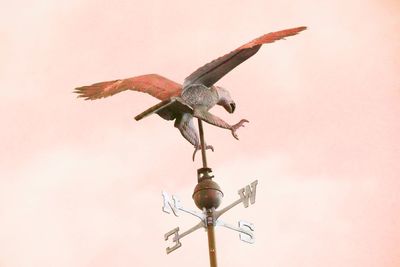 Low angle view of birds flying against sky