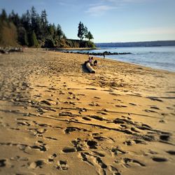 Man sitting on beach against sky