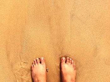 Low section of person on sand at beach