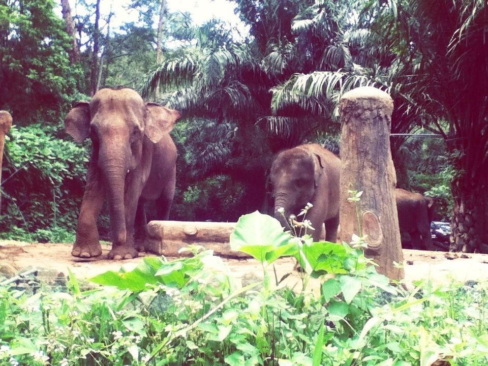 Zoo