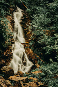 Scenic view of waterfall in forest