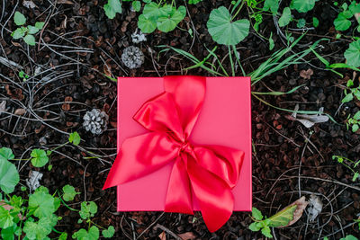 High angle view of red gift box on field