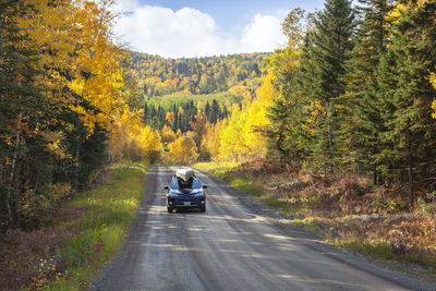 Road amidst trees during autumn