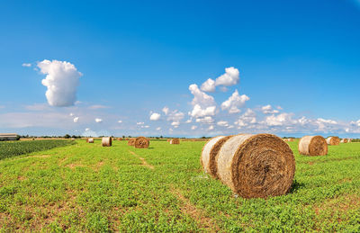 Hay bales on field against sky