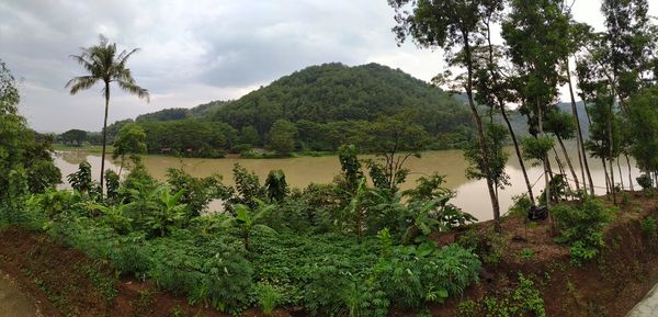 Scenic view of lake by trees against sky