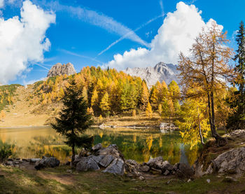 Scenic view of trees against sky during autumn