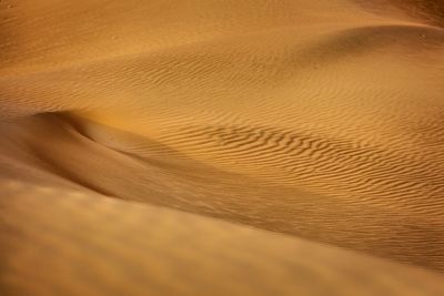 Full frame shot of sand dune