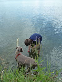 High angle view of boy and dog standing at lakeshore