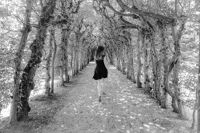 Rear view of woman walking on footpath amidst trees