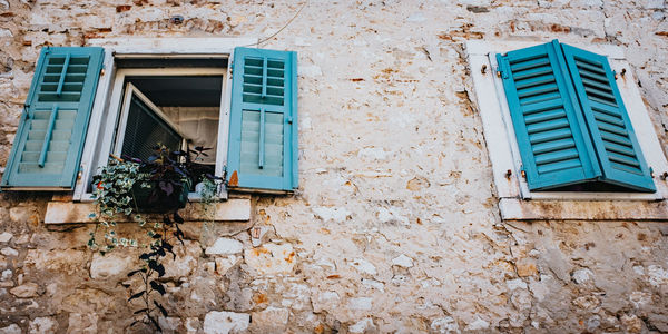 Low angle view of potted plant on wall of building