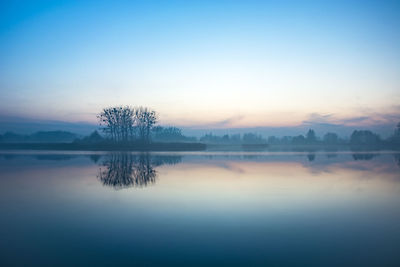 Trees on the shore of a foggy lake, view after sunset.