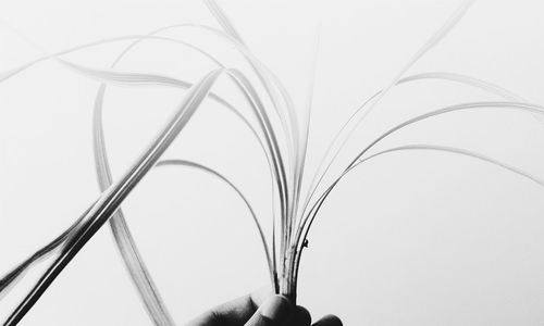 Cropped image of man