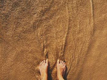 Low section of woman on sand