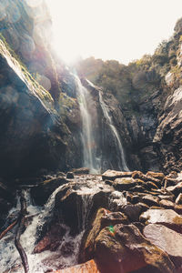 Scenic view of waterfall in forest